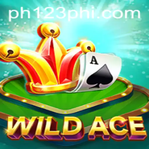 Exploring WildAce: Rules and Gameplay in the Modern Gaming Sphere